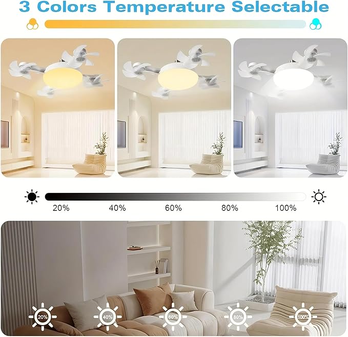 F4: Versatile Fan & Light Combo for Multiple Uses